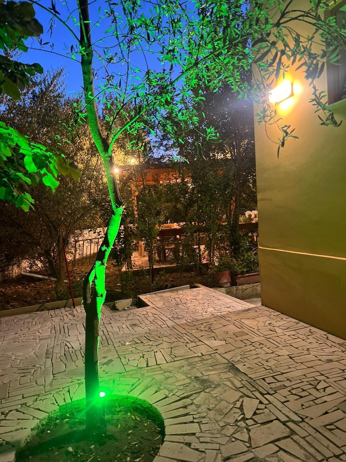 Vila Magis วญอเรอ ภายนอก รูปภาพ